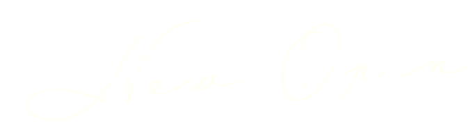 NEW OPEN