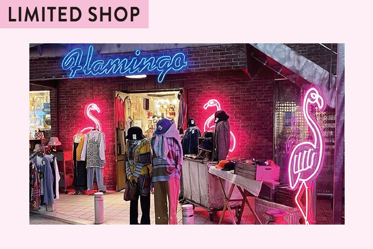 「Flamingo」