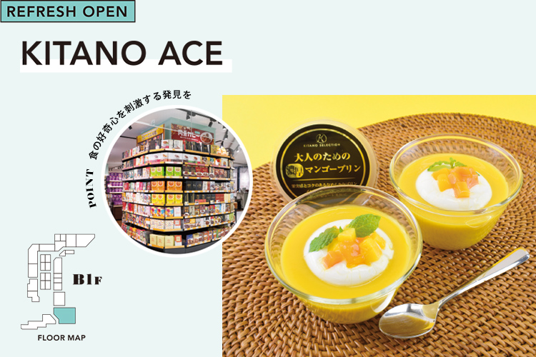 KITANO ACE