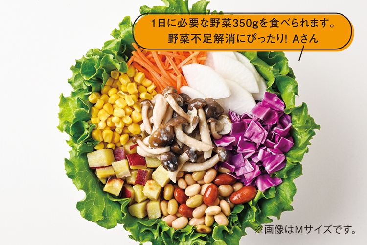 1日分のまるごとサラダ