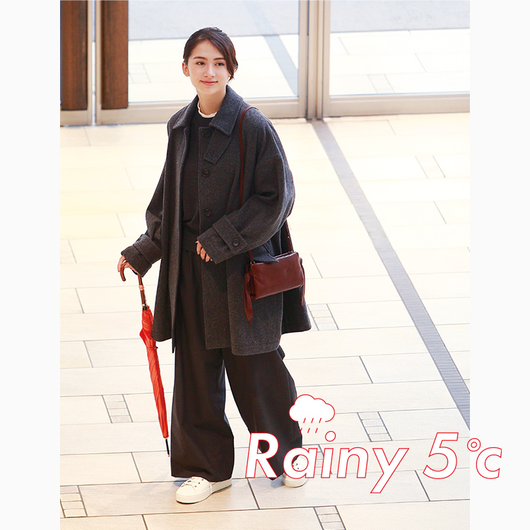 Rainy 5℃