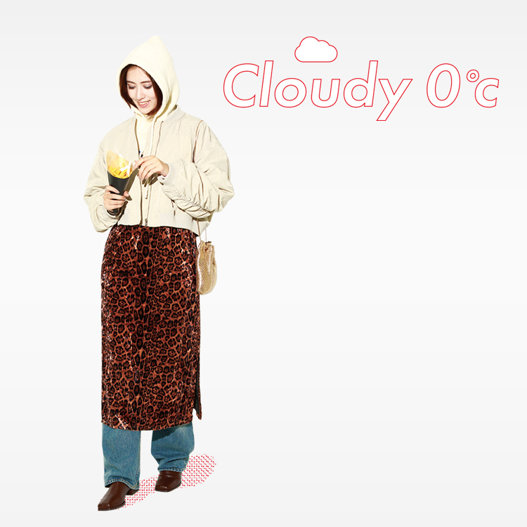 Cloudy 0℃