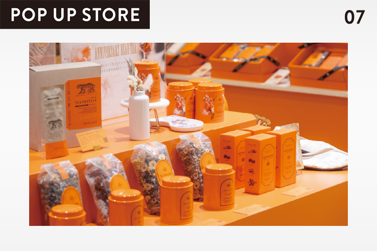 POP UP STORE「DAYLILY」