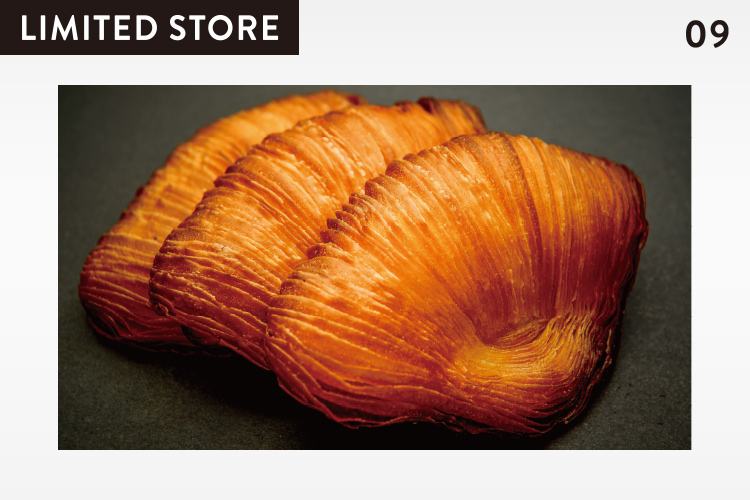 LIMITED STORE「terre à terre」