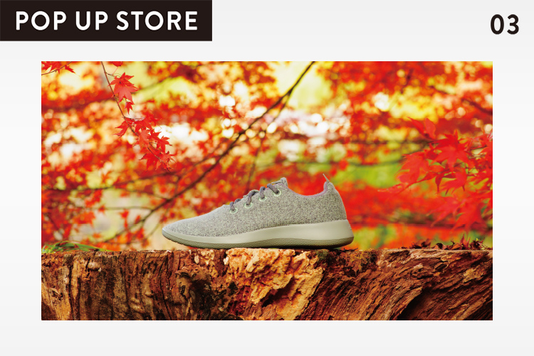 POP UP STORE「Allbirds」